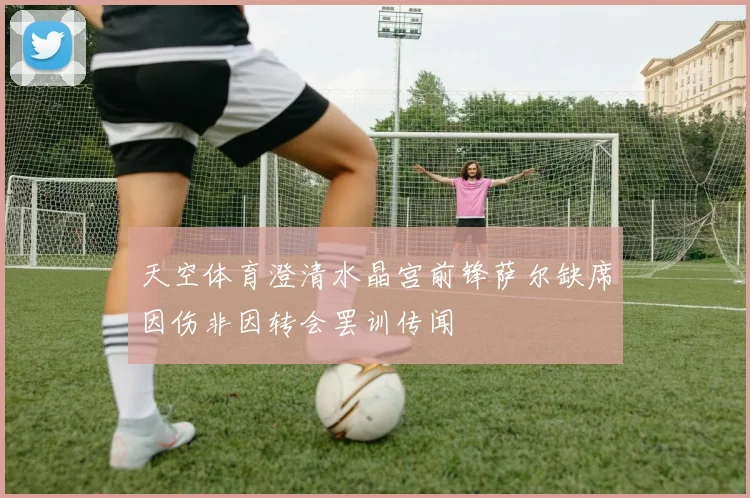 天空体育澄清水晶宫前锋萨尔缺席因伤非因转会罢训传闻